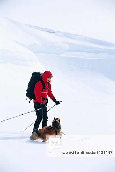 Person telemark skiing with dog