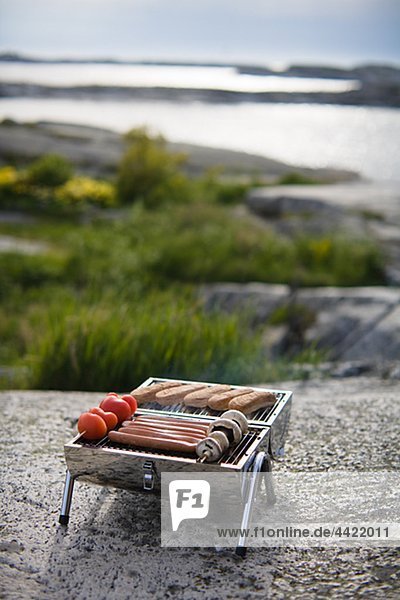 Barbecue grill with meal on rock