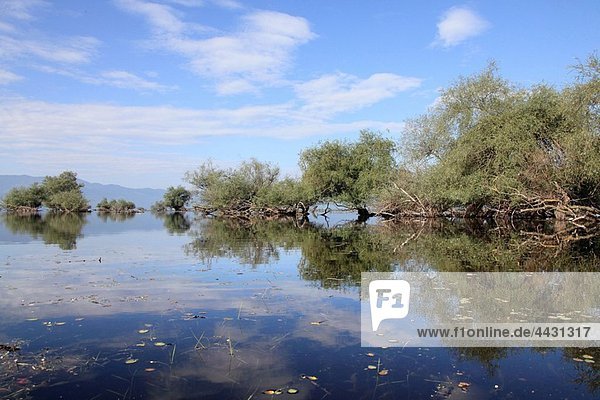Kerkini lake Greece.