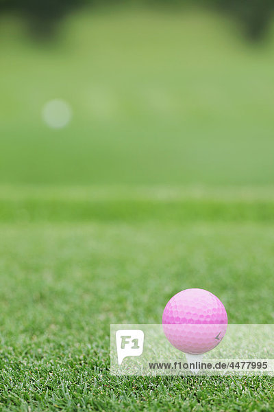 Rosa Golfball