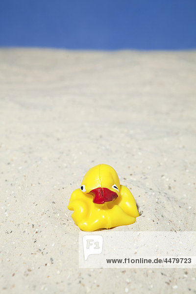 Rubber duck at beach