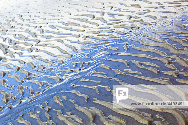 Detail  low  ebb  tide  form  shape  forms  shapes  body of water  tides  Great Britain  Highland  highlands  coast  line  lines  sea  seashore  pattern  structure  close-up  nature  North Sea  reflection  coastal  sand  sand beach  sand structure  Scotland  Scottish highlands  summers  reflection  beach  seashore  Strathy  Strathy Bay  structure  Sutherland  UK  water  abstract  blue  brown  graphical  wet  sienna  ocher  Scottish  dry