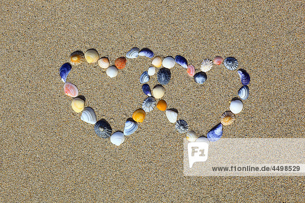 Detail  double  double heart  Before  form  shape  body of water  Great Britain  heart  heart form  wedding  coast  love  macro  sea  mussel  mussels  patterns  samples  close-up  nature  North Sea  pair  couple  edge  romance  sand  sand beach  Scotland  summer  beach  seashore  structure  Sutherland  symbol  UK  border  attachment  variety  passed away Together  bright  colourful  together  graphical  heart-shaped  romantical  Scottish  linked  combined  fallen  love  devoured  intertwined  winding  devious  deviously  two
