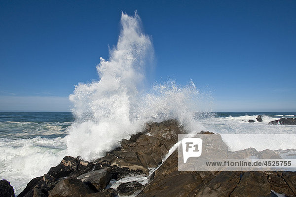Wellen brechen an der Felsenküste im West Coast Nationalpark  Südafrika