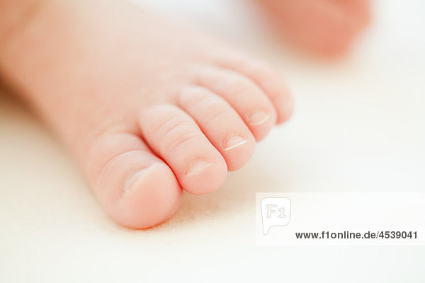 Close up of baby toes