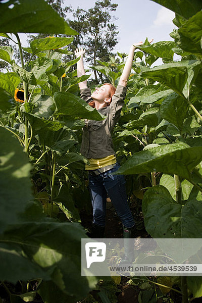 Young woman stretching in sunflower field