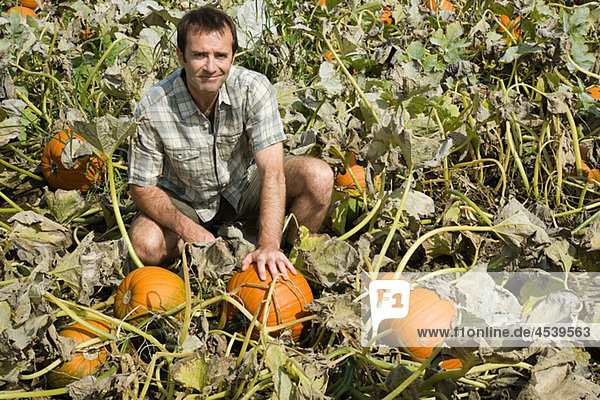 Man in pumpkin field