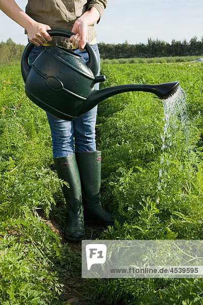 Woman watering crop in field with watering can