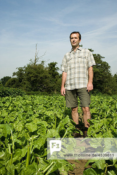 Farmer standing in field