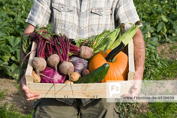 Man holding wooden create of freshly farmed vegetables