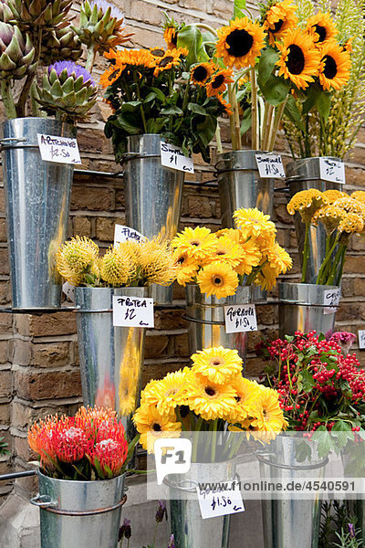 Flower stall  London  England