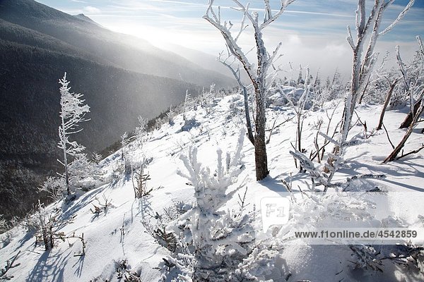 Strong winds blow snow across the valley along the Old Bridle Path during the winter months in the White Mountains New Hampshire USA
