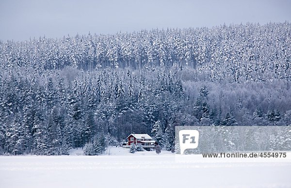 Winter bedecken Wohnhaus Wald Schnee