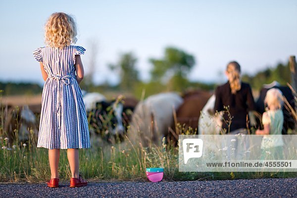 Drei Mädchen betrachten Kühe auf der Weide