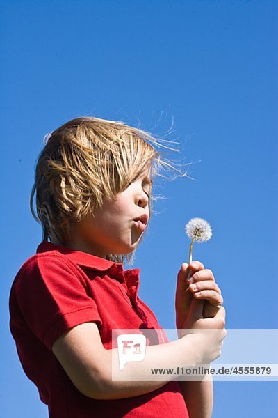 Boy blowing Dandelion in hellem Sonnenlicht