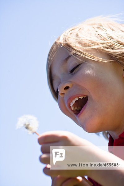 Boy blowing Dandelion in hellem Sonnenlicht