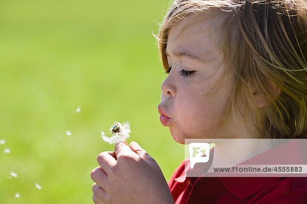 Boy blowing Dandelion in hellem Sonnenlicht