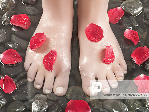 Woman's feet on pebbles  rose petals