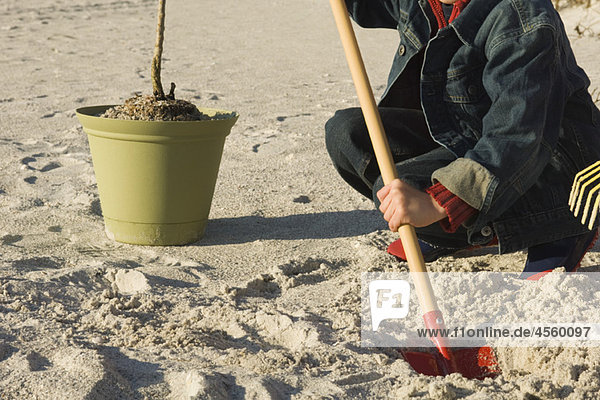 Junge gräbt Loch am Sandstrand  Topfpflanze in der Nähe