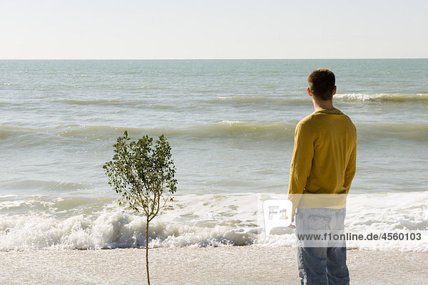 Man standing beside small tree growing on beach  looking at view