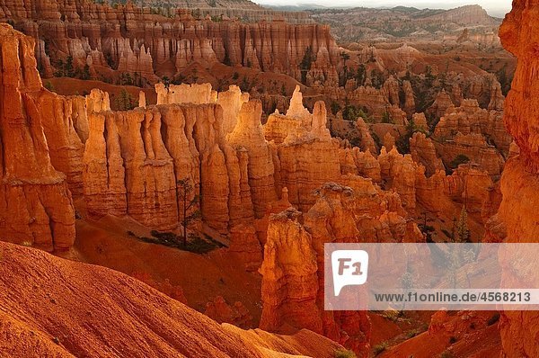 Bryce Canyon National Park  Amphitheater  Rock formations and hoodoos in the morning  Utah  USA