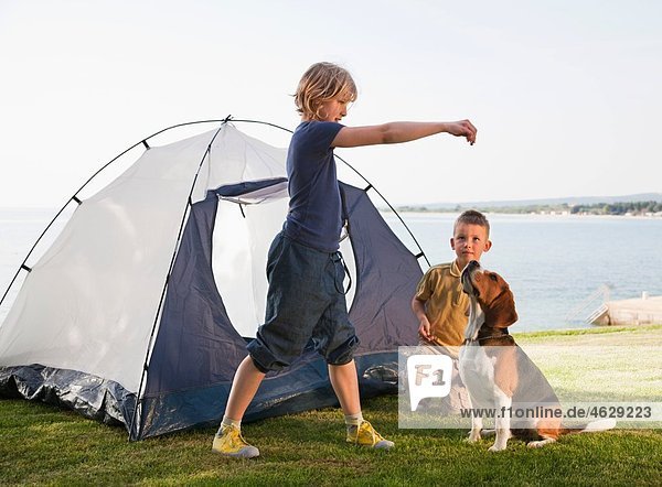 Croatia  Zadar  Girl and boy playing with dog in front of tent at beach