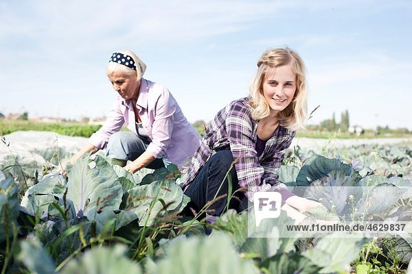 Frauen  die auf dem Bauernhof arbeiten.