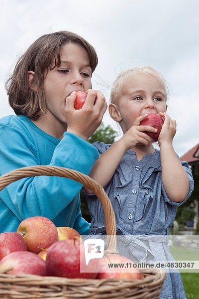 Mädchen (2-3 Jahre) und Junge (10-11 Jahre) beim Äpfelessen