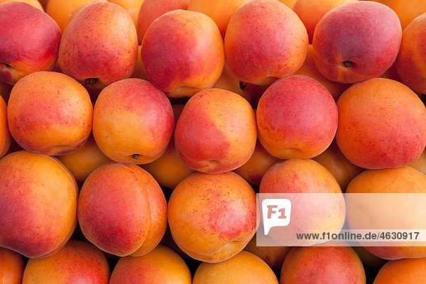 Germany  Munich  Apricots sold at market  close up