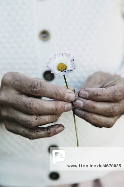 Zwei Hände halten eine Blume