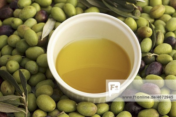 Kaltgepresstes Olivenöl im Schälchen und Oliven  Perugia  Umbrien  Italien