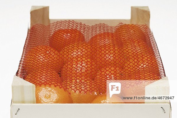 Mandarinen in Steige