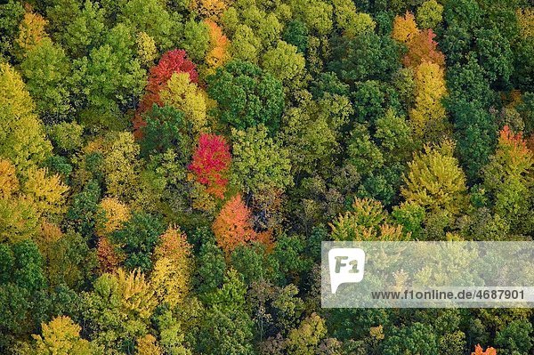 Vereinigte Staaten von Amerika  USA  Wald  Herbst  Ansicht  Huronsee  Lake Huron  Luftbild  Fernsehantenne  Michigan
