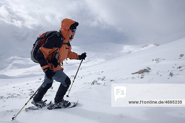 Snowshoe walker ascending Neunerspitze peak  Dolomites  South Tyrol  Italy  Europe