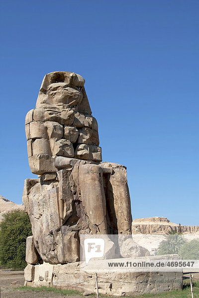Colossus of Memnon  West Bank  Luxor  Egypt  Africa