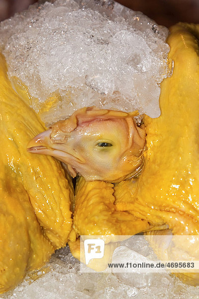 Chicken chilled with ice on a Thai market  Thailand  Southeast Asia  Asia