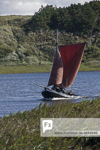 Traditionelles Fischerboot mit Fock und Sprietsegel auf dem Rink¯bing Fjord bei Nymindegab  Westjütland  Dänemark  Europa