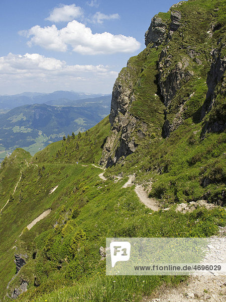 Trail on the Kitzbueheler Horn at St. Johann  Tyrol  Austria  Europe