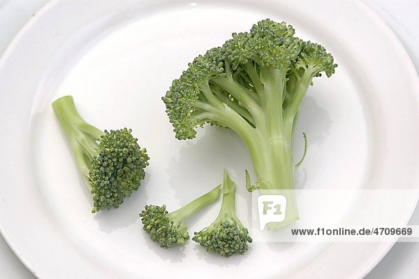Vegetable Broccoli food   Green plate pieces of Broccoli small