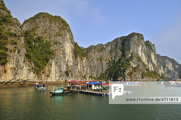 Floating village  Halong Bay  Vietnam  Southeast Asia