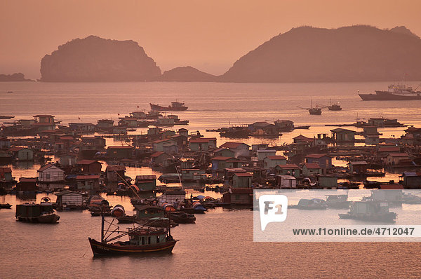 Hafen von Cat Ba  Halong-Bucht  Vietnam  Südostasien
