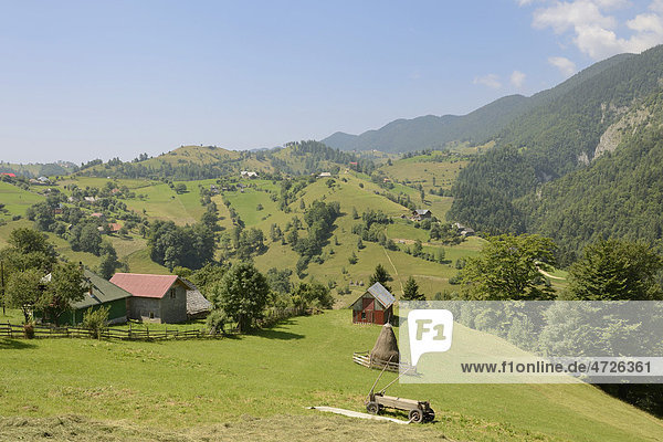 Blick über die Streusiedlung Magura  Königsteingebirge  Piatra Craiului  Rumänien  Europa