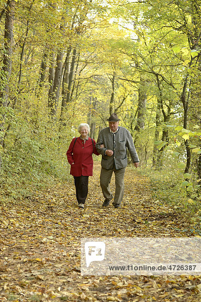Retired couple walking through a forest in autumn  Grossau  Lower Austria  Austria  Europe