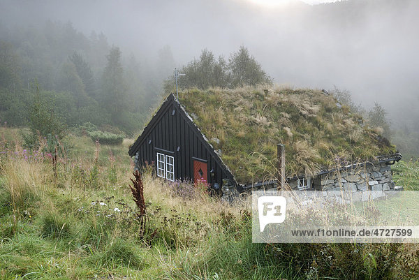 Grass-covered hut in Norway  Europe