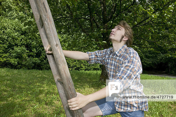 Farmer climbing a ladder leaning on a fruit tree