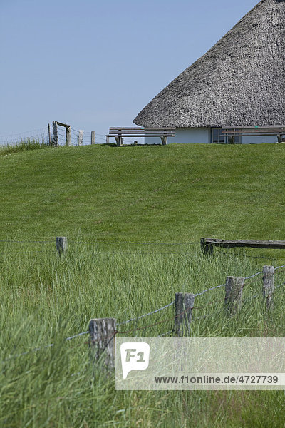 House with thatched roof and restaurant on the Hamburg Hallig holm  North Friesland  Schleswig-Holstein  Germany  Europe