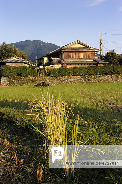 Reisfelder vor Bauernhof  Iwakura  Kyoto  Japan  Ostasien  Asien