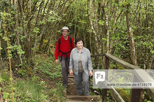 Wanderer auf Waldweg im Nationalpark Burren  County Clare  Republik Irland  Europa
