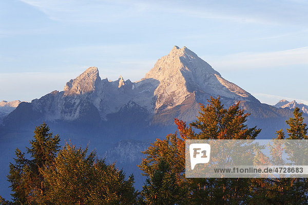 Watzmann  morgens  Blick von Kneifelspitze bei Berchtesgaden  Berchtesgadener Alpen  Berchtesgadener Land  Oberbayern  Bayern  Deutschland  Europa