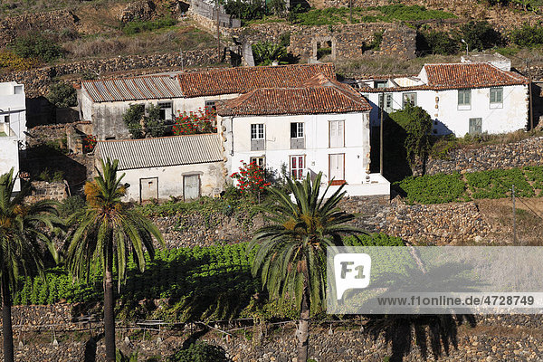 Traditionelle Häuser  Vallehermoso  La Gomera  Kanaren  Spanien  Europa